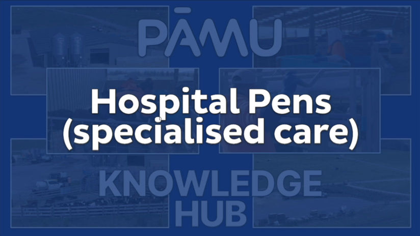 Hospital Pens (Health & Recovery) (specialised care)